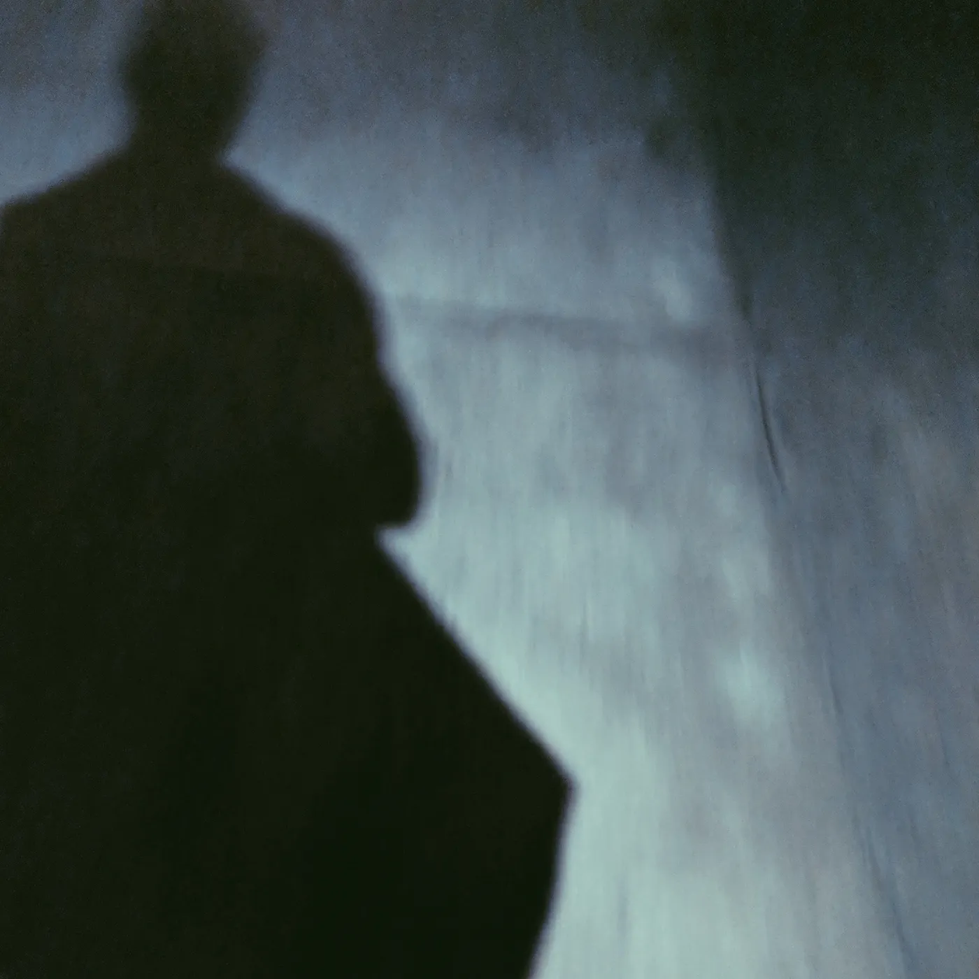 Quinn's blurry shadow on the pavement. Date Unknown. Iowa State University