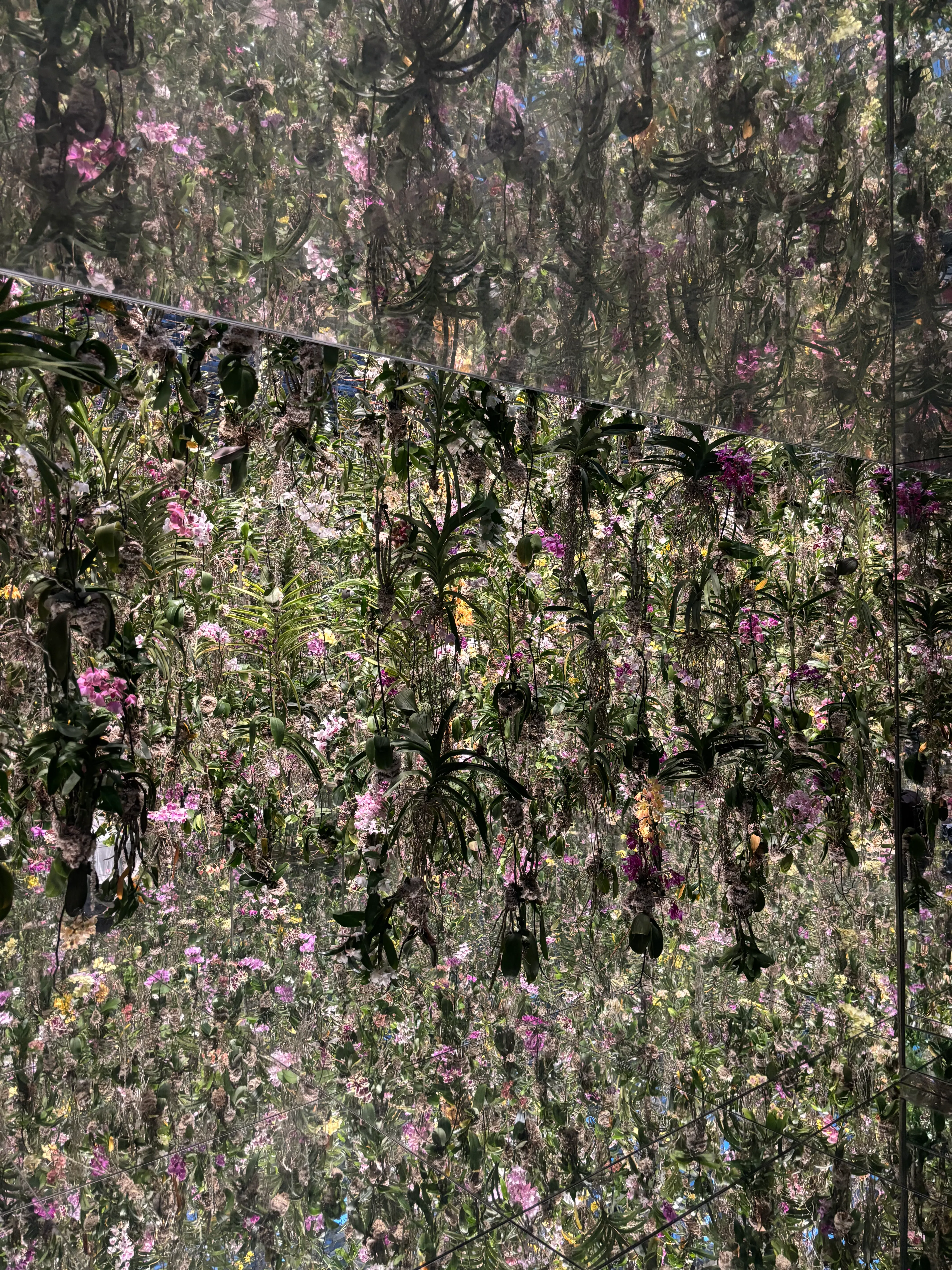 Pink and yellow flowers hanging from a ceiling with an infinite looking reflection